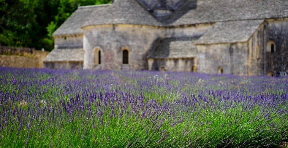 Cinci lucruri de vizitat în însorita Provence din Franţa