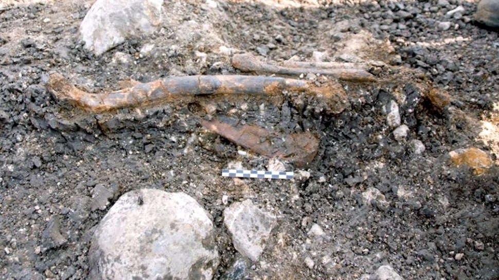 O nouă descoperire rescrie istoria Omului de Neanderthal. Modul de viaţă era mai evoluat decât se credea