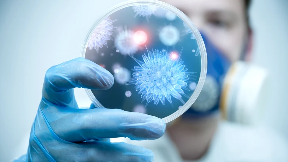 Bacterii programate să depisteze tumorile hepatice, create de cercetătorii de la MIT