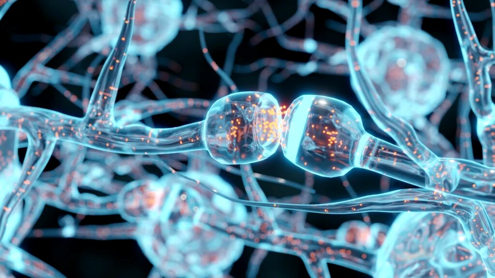 Nivelurile scăzute de acizi grași omega la femeile cu Alzheimer ridică noi semne de întrebare