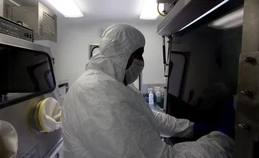 Google poate prezice apariţia epidemiilor de gripă cu 7 săptămâni înainte să aibă loc