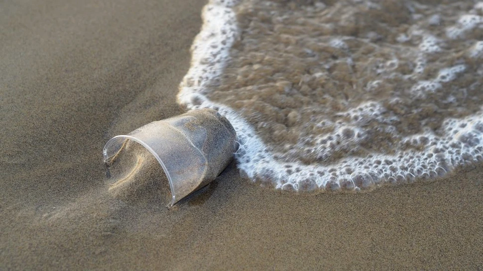 Particule de plastic descoperite, în premieră, în organele umane
