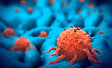 A fost descoperit rolul crucial al unei proteine în imunitatea organismului împotriva cancerului
