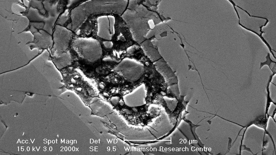 Ce este această structură ciudată descoperită într-un meteorit provenit de pe Marte? (FOTO)