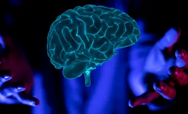 Nu toți creierii sunt la fel. De ce este creierul uman mult mai vulnerabil la boli?