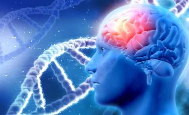 O nouă terapie genetică poate duce la dezvoltarea unor remedii împotriva afecţiunilor neurodegenerative precum Alzheimer