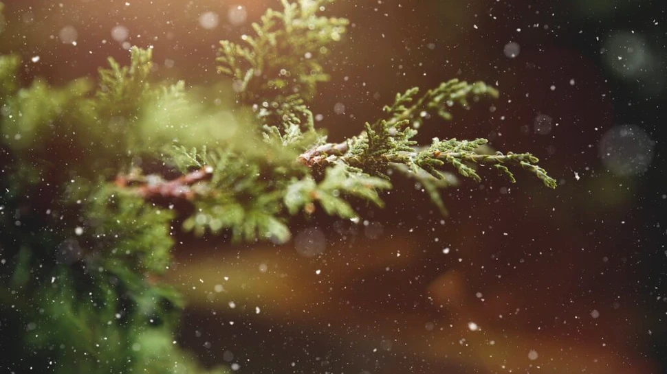 Ce se întâmplă cu temperaturile și precipitațiile în iarna aceasta?