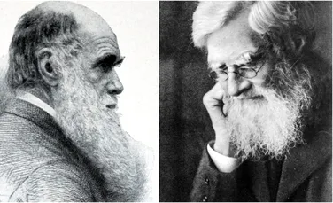 Alfred Russel Wallace, rivalul și în același timp prieten al lui Charles Darwin