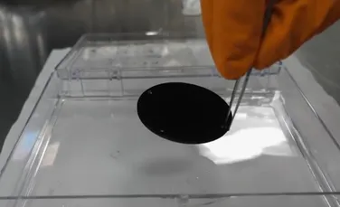 Cercetătorii de la MIT au creat cel mai negru material