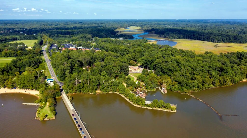 Coloniștii din Jamestown au ucis și mâncat câinii indigenilor