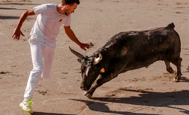 Cursa cu tauri, cel mai faimos festival al Spaniei. Trei bărbați au murit în 24 de ore