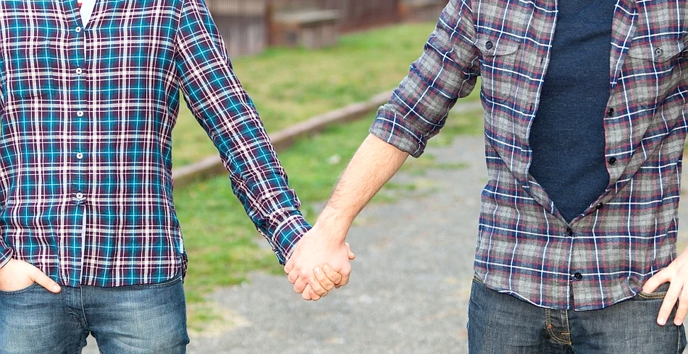 Care este legătura între numărul de fraţi şi posibilitatea de a fi homosexual?