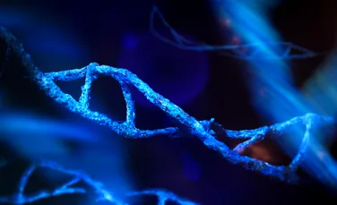 A fost descoperită o mutație genetică rară, nemaivăzută până acum la oameni