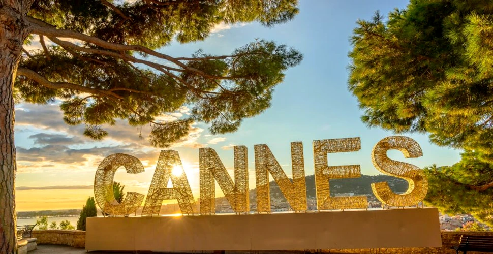 Un palmier s-a prăbușit peste un producător de film la Festivalul de la Cannes