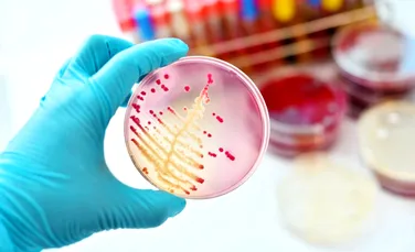 Cercetătorii au descoperit un antibiotic revoluționar, care protejează bacteriile „bune”