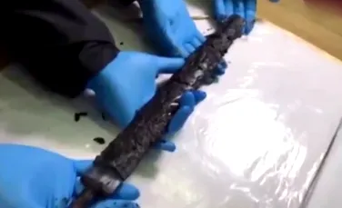 O sabie de acum 2.300 de ani, în stare perfectă, descoperită într-un mormânt