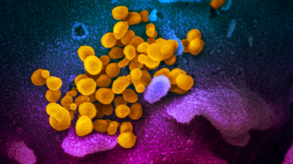 România poate testa, într-o lună, un vaccin experimental pentru coronavirus, afirmă Adrian Streinu-Cercel