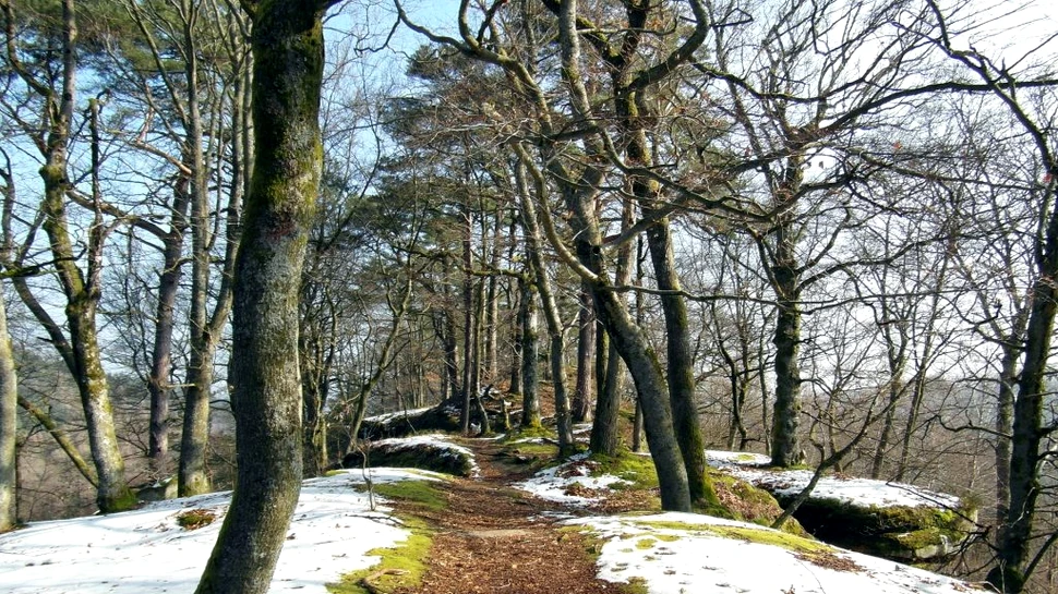 Vremea în martie. Ce temperaturi anunță meteorologii pentru următoarea perioadă