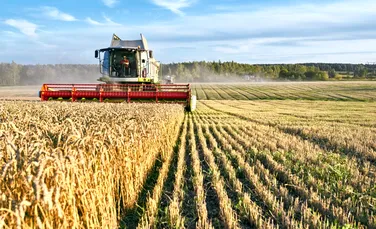 Finanțare pentru energie verde în sectorul agricol și industria alimentară (P)