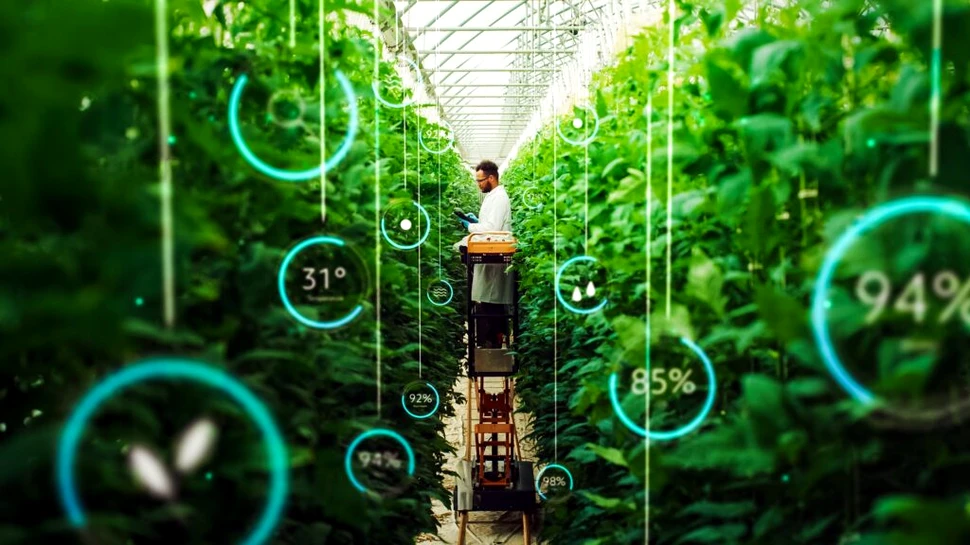 De ce europenii nu au încredere în alimentele dezvoltate cu tehnologii inovatoare?