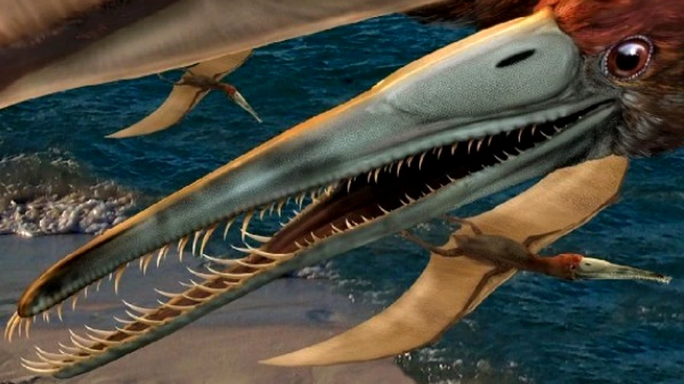 Un vanator de fosile a descoperit o uriasa reptila zburatoare
