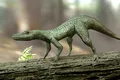 O nouă specie de reptilă crocodiliană din Triasic, dezgropată în Brazilia