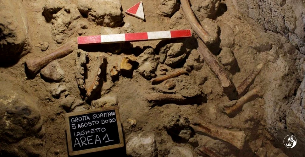 Rămășițele a nouă neanderthalieni, descoperite într-o peșteră din apropiere de Roma
