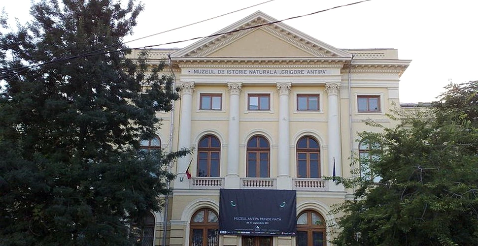 Sâmbătă, la Muzeul Antipa din Bucureşti va avea loc conferinţa „Palatele Familiei regale”