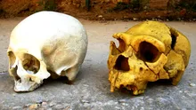 Care a fost prima limbă vorbită de oameni? Ce poate afla știința și unde încep speculațiile