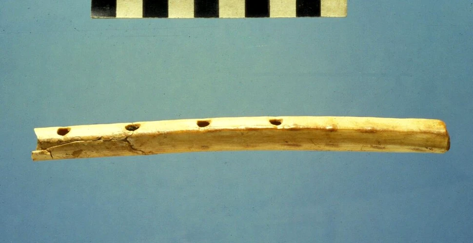 Un flaut rar, făcut din os, a fost dezgropat de arheologii britanici
