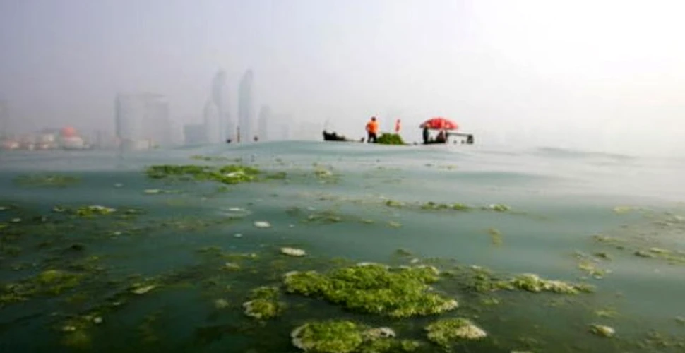 Concurentii olimpici vor naviga pe ape extrem de poluate