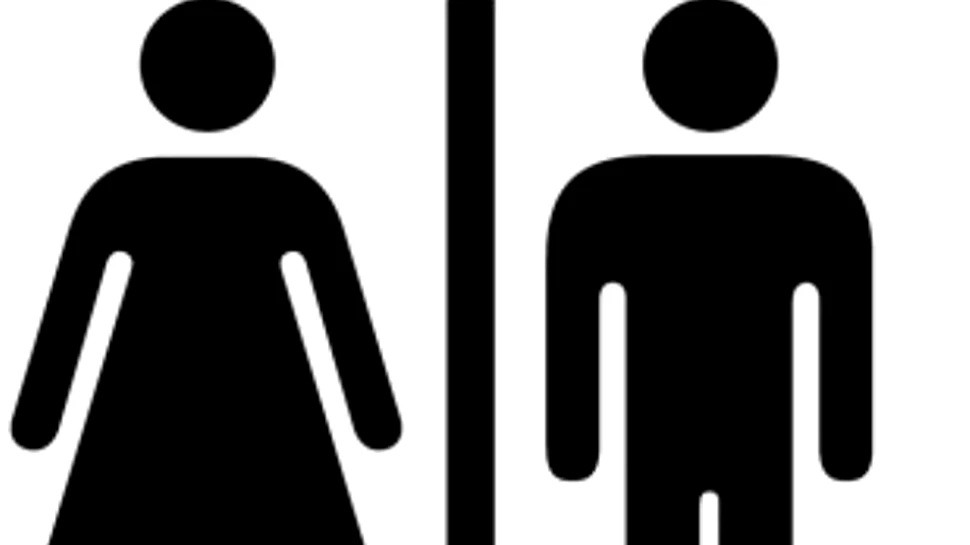 Fata sau baiat? Afla raspunsul acasa in numai 10 minute