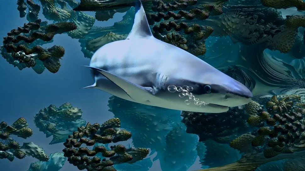 Creşterea acidităţii oceanelor, un pericol pentru rechini