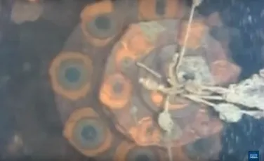 Un robot submersibil a realizat o descoperire URIAŞĂ sub fostul Reactor 3 de la Fukushima