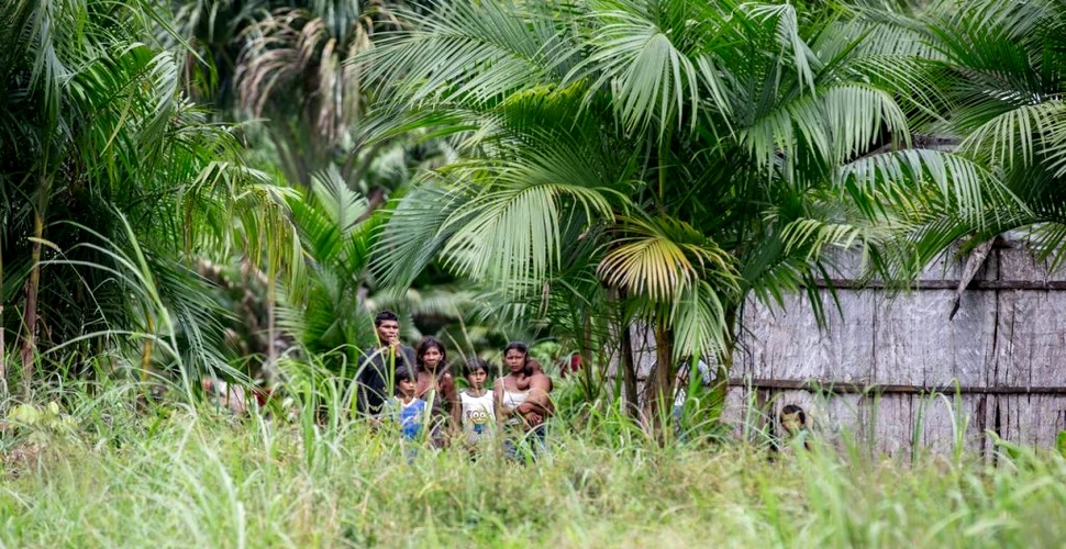 Indigenii au ajutat Amazonul să rămână sălbatic timp de 5.000 de ani