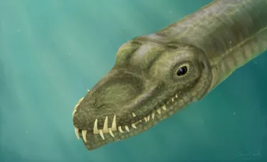 Oamenii de știință au rezolvat misterul unei reptile cu gâtul extraordinar de lung