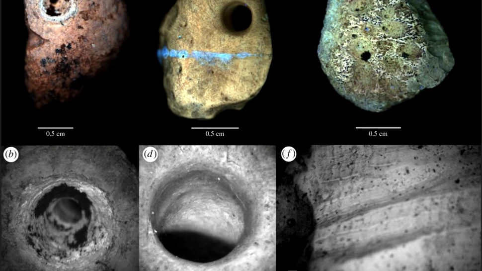 Oamenii făceau bijuterii din oase de leneși uriași cu 25.000 de ani în urmă