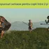 Cât de mult trăiau oamenii de Neanderthal?