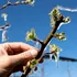 Meteorologii anunță că vremea se răcește din nou