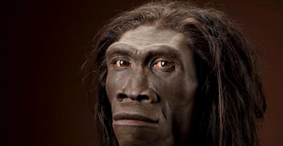 Evoluţia umană a fost mult mai complicată decât se credea. Strămoşul până acum necunoscut al omului