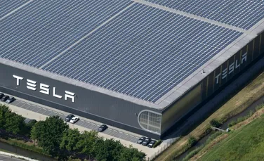 În ce țară ar putea produce Tesla mașini și baterii? Este a treia cea mai mare piață auto