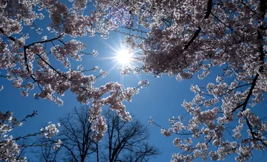 Prognoza actualizată de la ANM: Cât de caldă va fi vremea și unde va ploua?