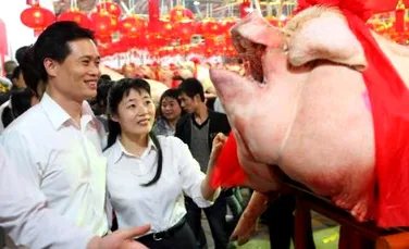 Concurs de frumusete porcina, sustinut in China (FOTO)