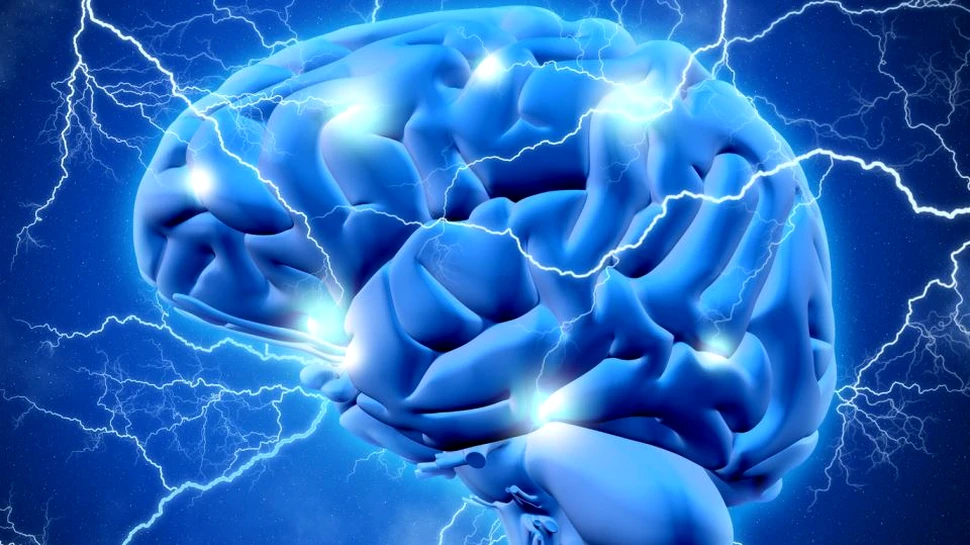 Aceasta poate fi forma conştiinţei? Savanţii au detectat un neuron gigantic