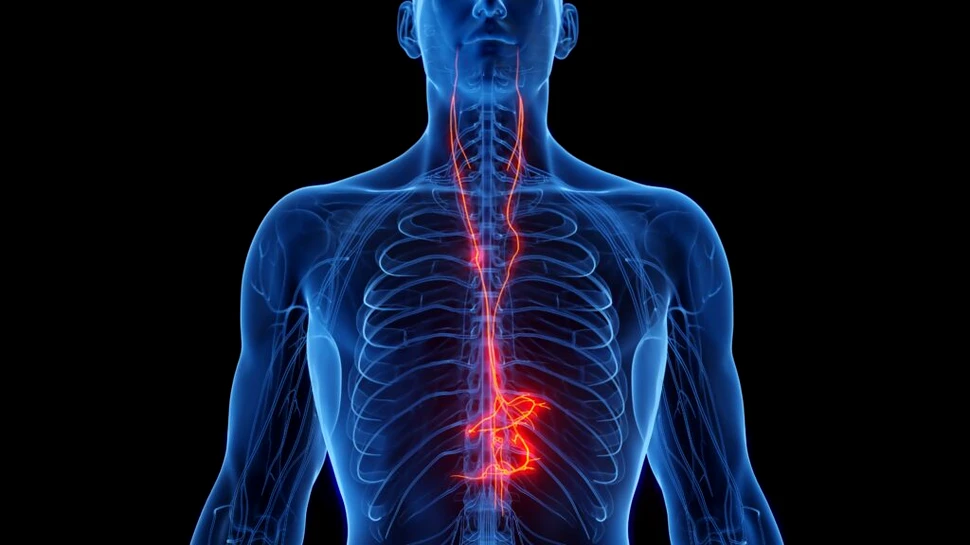 Studiu: Cum ne ajută stimularea nervului vag, combinată cu meditația?