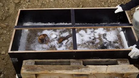 Misterul copilului cu ochi albaștri, îngropat acum 1.350 de ani alături de comori rare în Bavaria