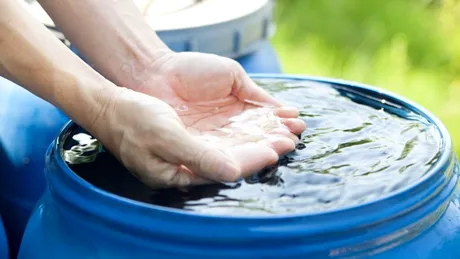 Test de cultură generală. Apa de ploaie este bună de băut?