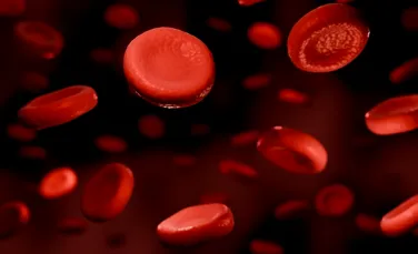 Sângele uman ar putea conține o relicvă evolutivă mai veche decât animalele
