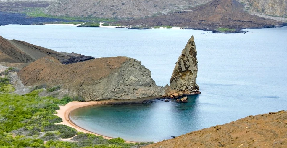 Misterul din Insulele Galapagos. Cercetătorii au descoperit secretul ecosistemului atât de bogat