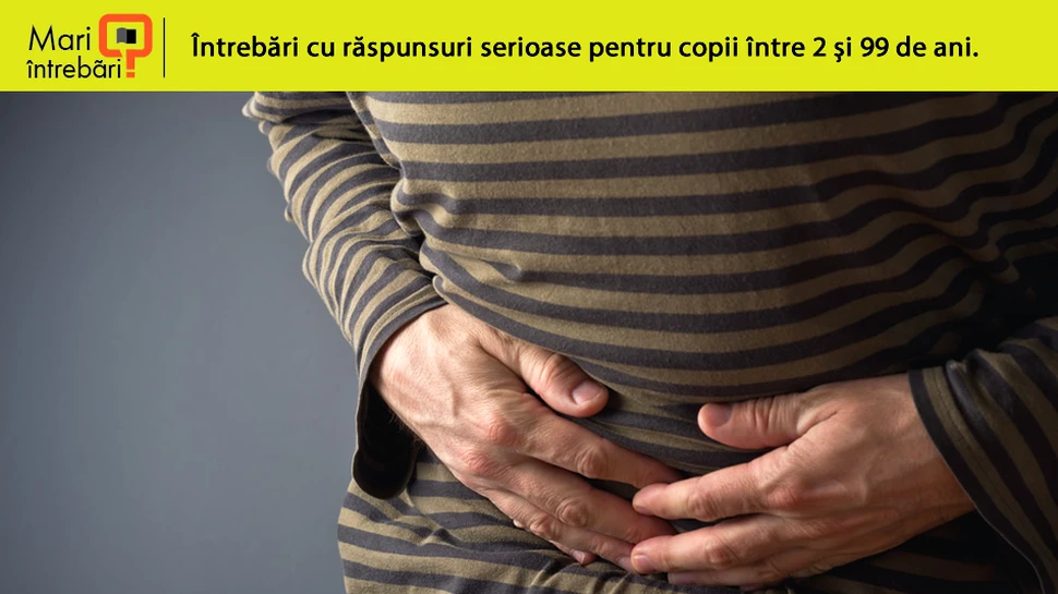 De ce avem apendice intestinal?